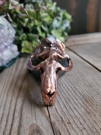 Image 6 of Muskrat Skull with Moonstone