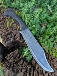Image 1 of BUSH BOWIE