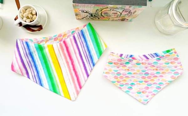 Image of Taste the Rainbow Pet Bandana