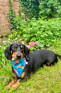 Image 4 of Custom Handmade Bandana