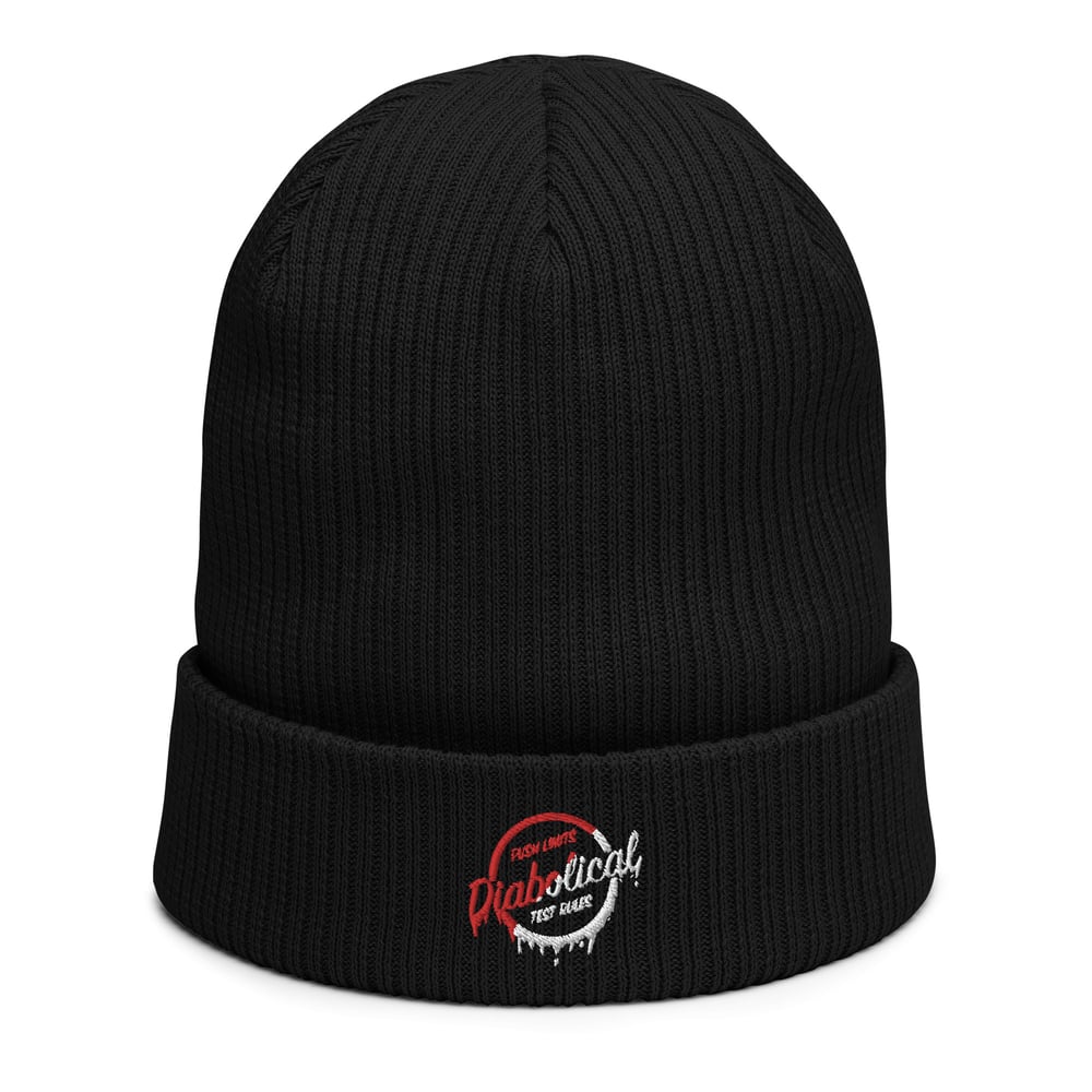 Diabolical "Drip" logo organic ribbed beanie