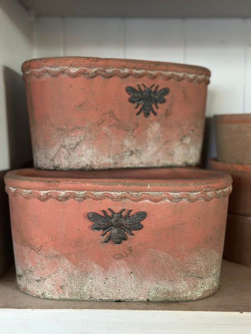 Image of Bee Terracotta Pot Oval