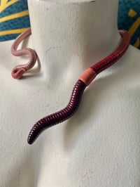 Image 2 of Standard Segmented Neck Cuff