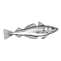 Whiting Black-And-White 8" X 8"