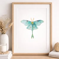 Image 2 of Luna Moth Watercolor Illustration PRINT 