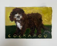 Mini Cockapoo