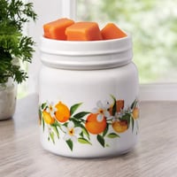 Image 1 of Spring Wax Warmer