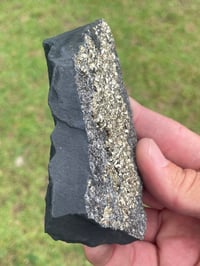 Image 4 of Shungite With Cubic Pyrite #569