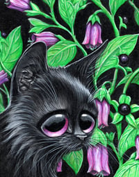 Image 1 of Black Cat Belladonna Original Acrylic Painting 