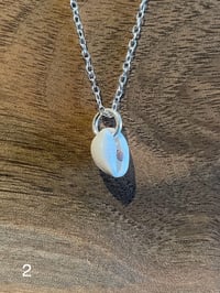 Image 2 of Devon Cowrie on Sterling Silver Chain