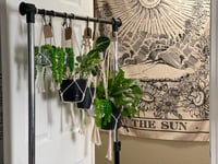 Image 1 of Macramé Plant Hangers 