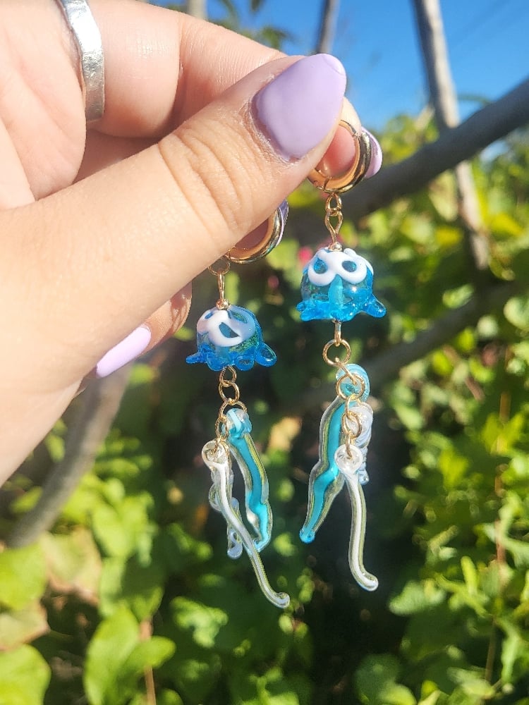 Image of Jellyfish Customs