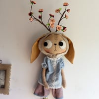 Image 11 of Cherry