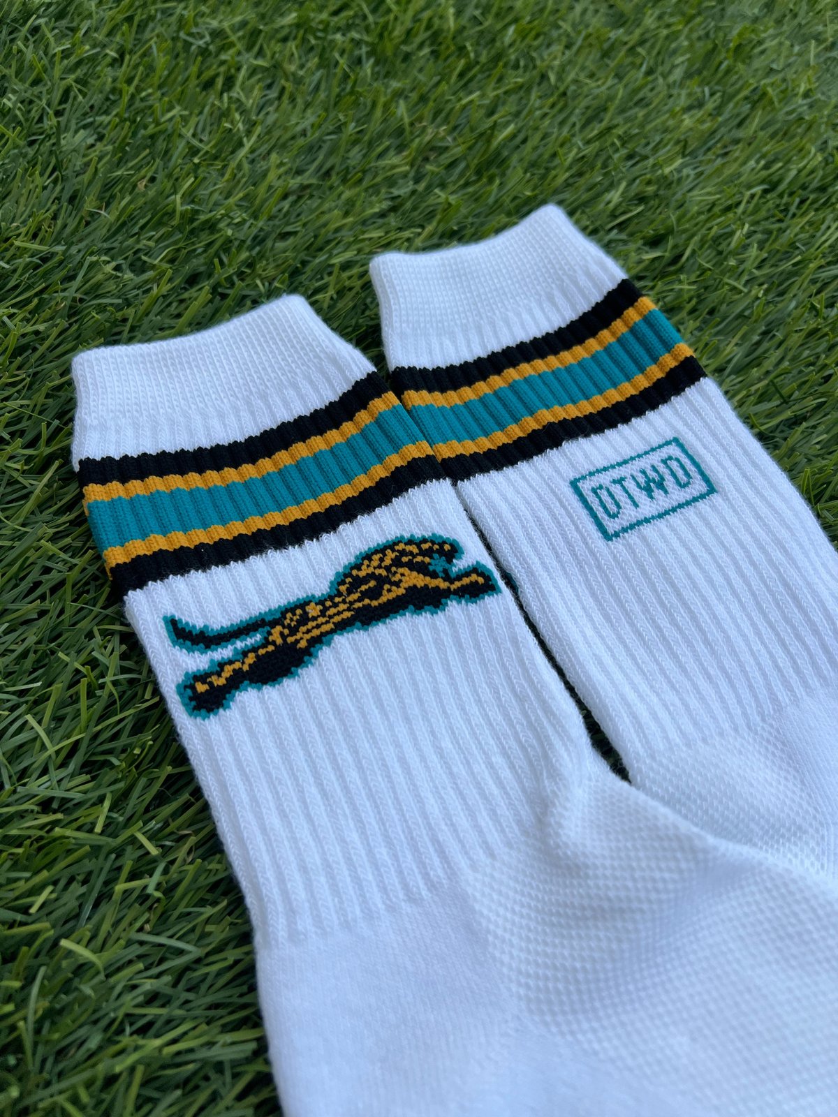 Image of DTWD - Del Campo Striped Leaping Crew Socks