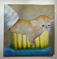 Image 2 of dentists hate him