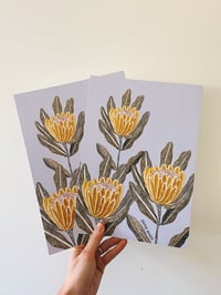 Image 2 of ‘Sunny Proteas’ Print