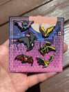Mini Bat Fillers