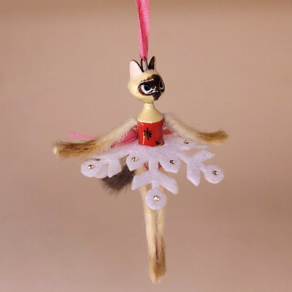 Image of Siamese Snowflake Kitten