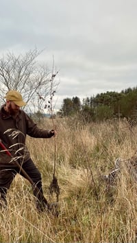 Image 1 of Plant a Tree