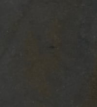 Image 2 of Coexist T-Shirt Large Earth Day