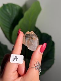 Image 1 of CHOOSE YOUR OWN MINI RUTILE SMOKEY QUARTZ POINTS (NATURAL UNPOLISHED POINTS) -BRAZIL- LOT 1