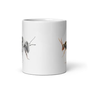 Andrena Nomada mug