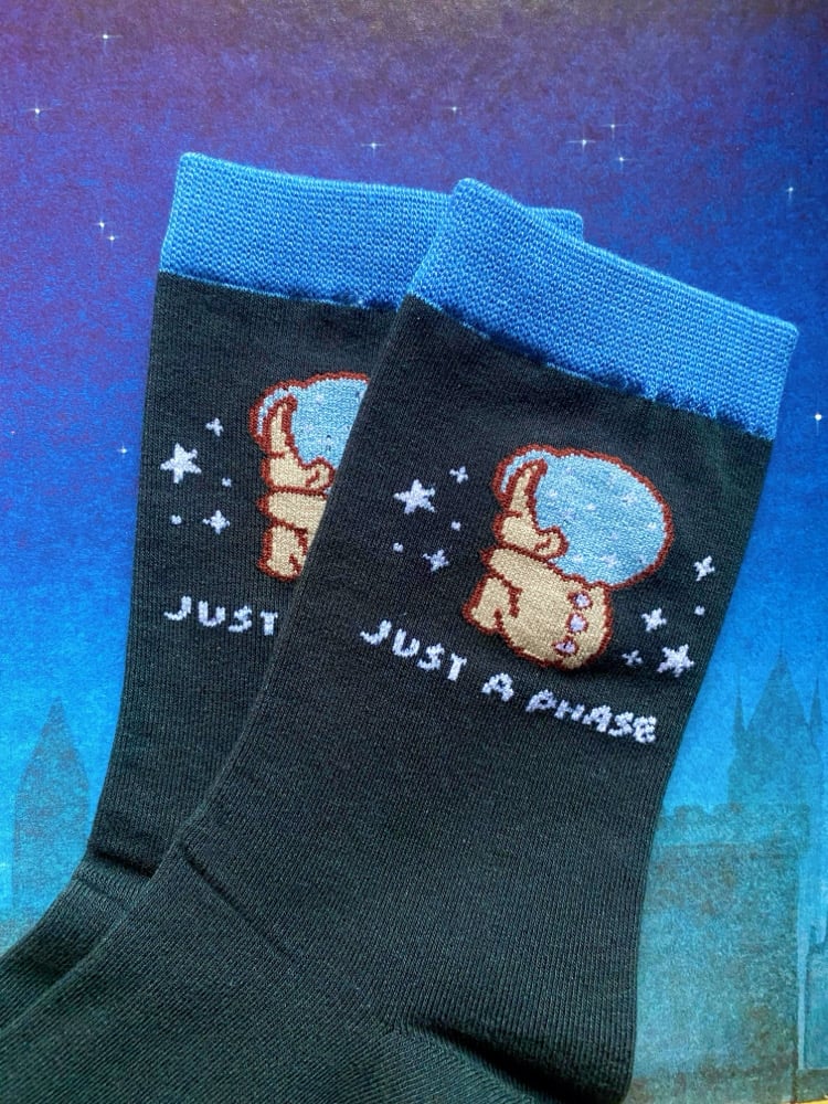 Image of Just A Phase Socks