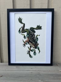 Image 1 of Mama frog 