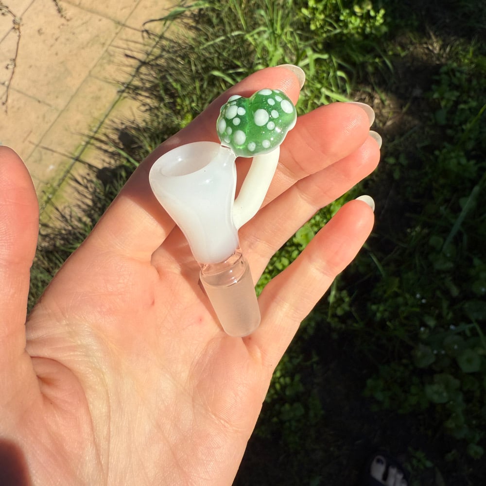 Image of Heart Mushroom Slides