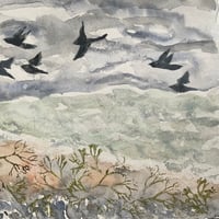 Image 3 of Birds and seaweed 