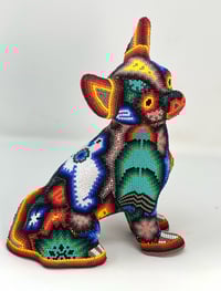 Image 3 of Chihuaha
