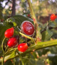 Image 1 of Rose hip ring 