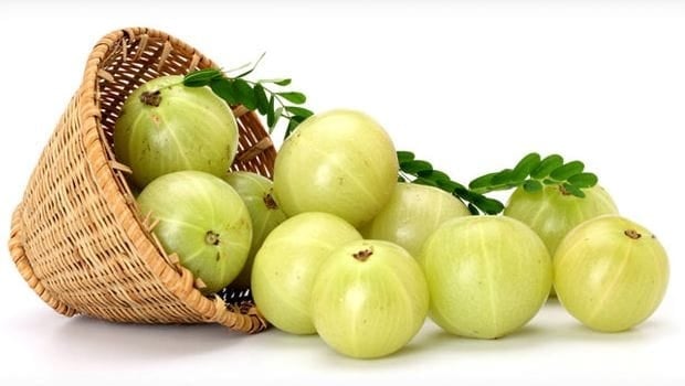 Cellular! Indian Gooseberry. Diabetes-Acidity-Liver-Weight-Memory-Joint Pain-Diuretic-Toxins-Hair-