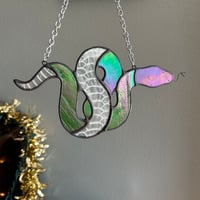 Image 4 of Snakeskin Snake