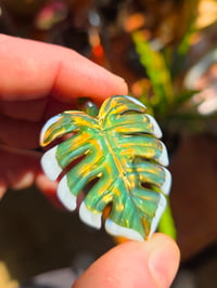 Image 1 of Green variegated uv monstera leaf pendant 