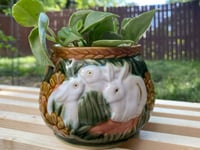 Image 1 of Vining Peperomia in Coral Bunny Mug