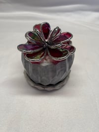 Image 3 of Red Succulent in Pot