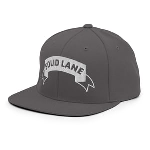 Image of Ban Snapback