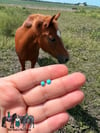 Genuine Sterling Turquoise Studs