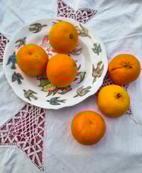 Image 2 of Jenny and the Birds Dish