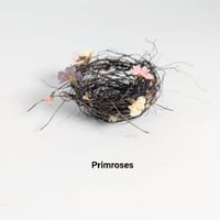 Image 1 of Ruth Proud Nests and Eggs