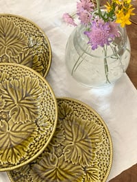 Image 5 of Assiettes Gien - années 50