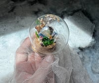 Image 1 of Az grasshopper w angel aura quartz