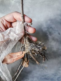 Margo’s nest Reserved! Please don’t purchase unless you are her 