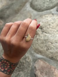 Image 2 of Trapezoid walrus ivory