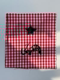 Image 1 of cherry shrimp patch