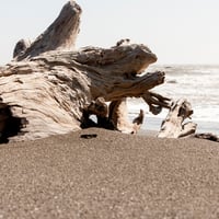 Image 3 of Sea Salt and Driftwood Soap On A Rope Bar