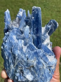 Image 10 of Blue Kyanite In Quartz Specimen #1783