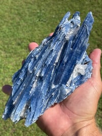 Image 1 of Blue Kyanite In Quartz Specimen #1783