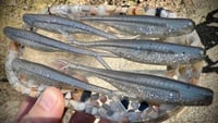 Image 2 of Tracer Shads - "CRUSHED CHROME”